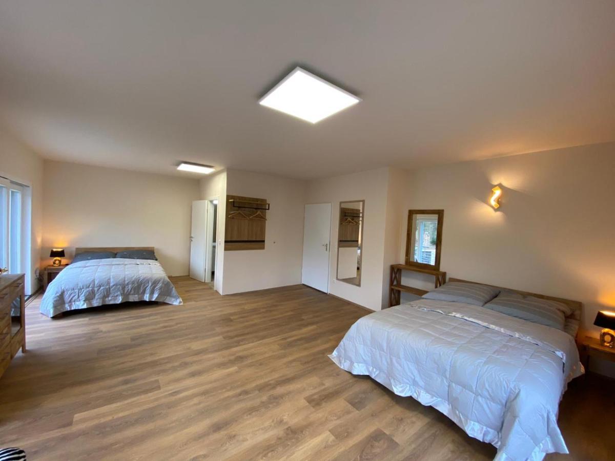 Villa-Seerose Köln Ngoại thất bức ảnh