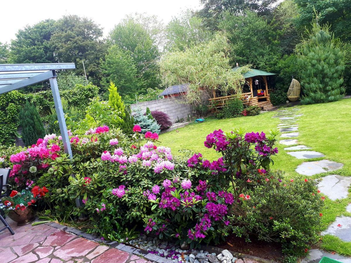 Villa-Seerose Köln Ngoại thất bức ảnh
